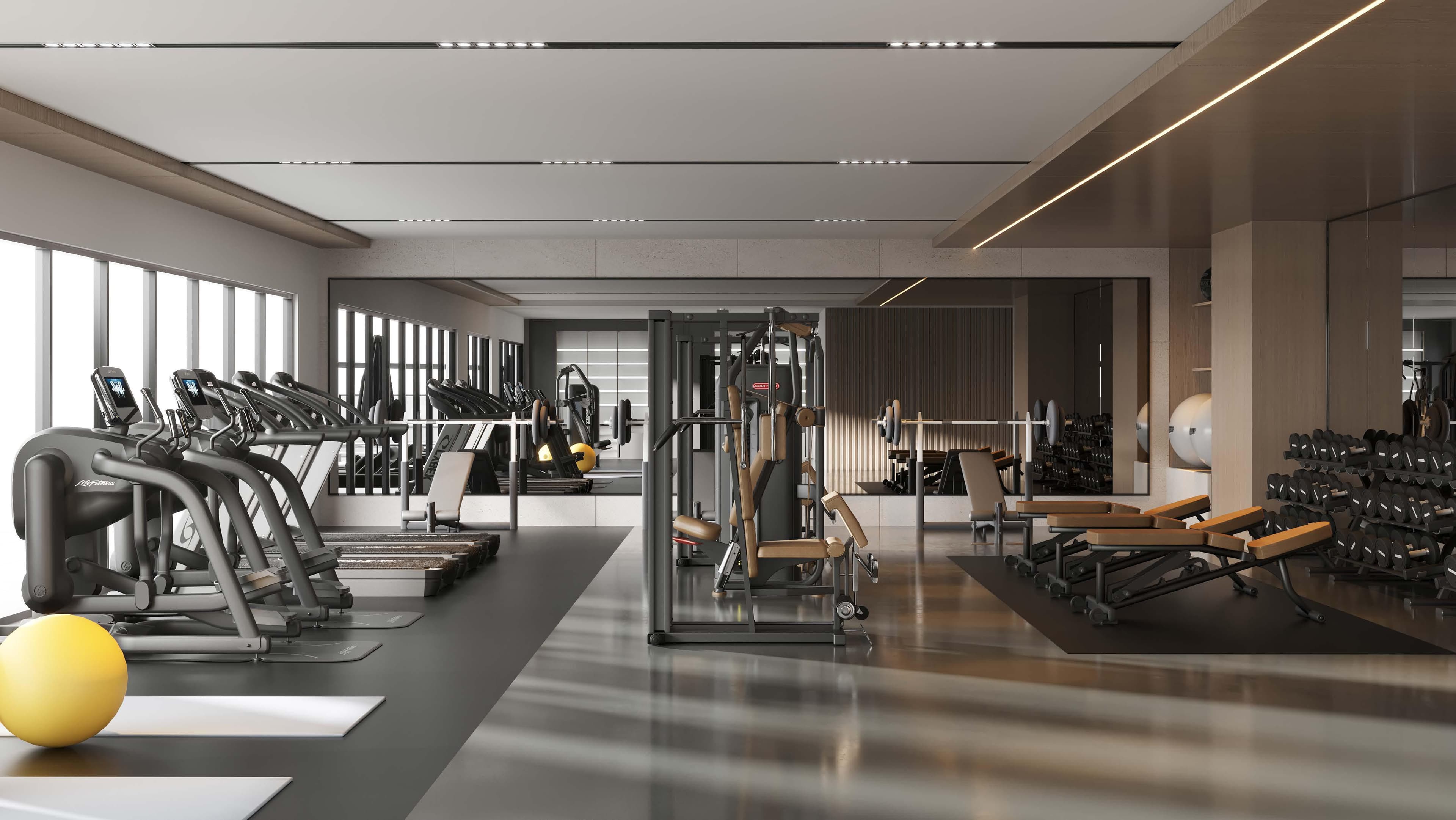 REFINE Equiti Gate 11